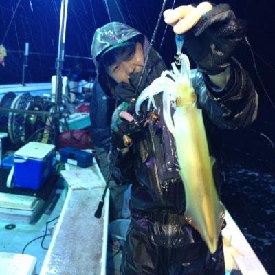 マイカ(ケンサキイカ)