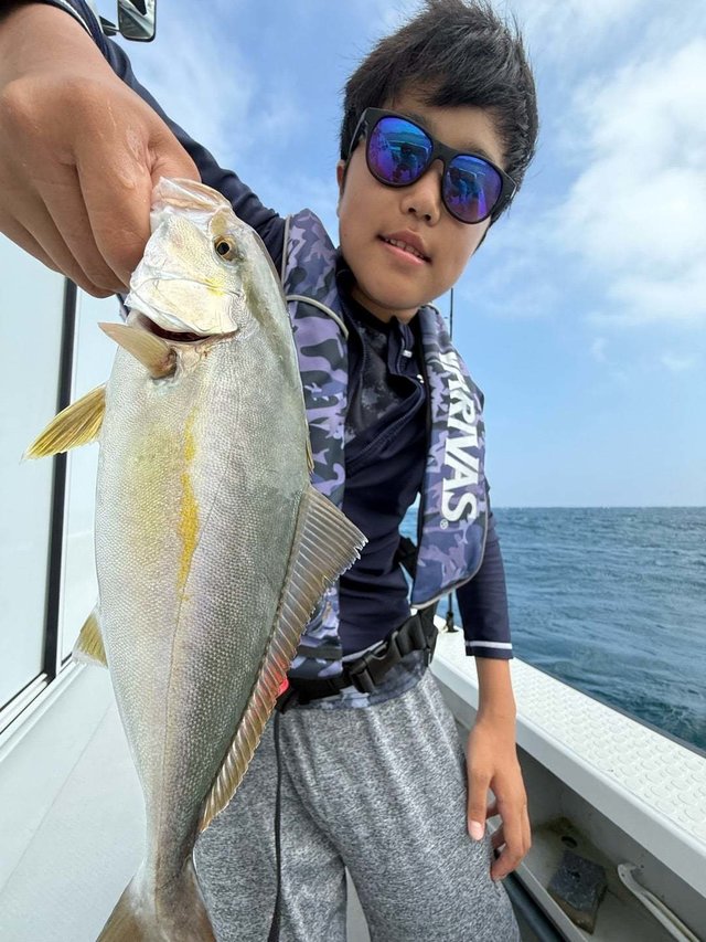 ショゴ(カンパチ)