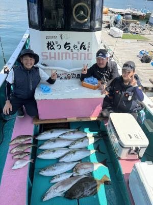 マダイ・オオモンハタ・ブリ・ハマチ(ブリ)・メジロ(ブリ)・オオニベ・ヒラメ