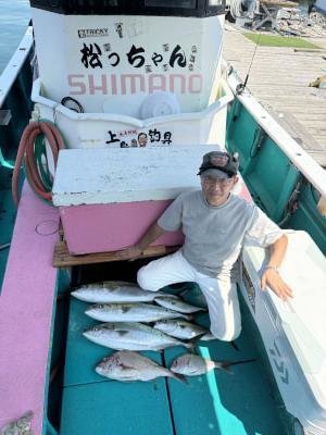 マダイ・ブリ・ハマチ(ブリ)・メジロ(ブリ)