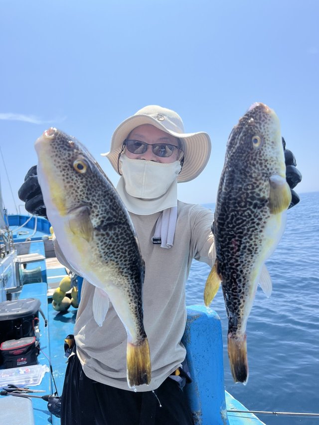 ショウサイフグ