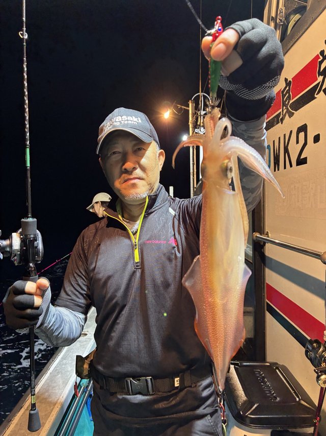 アカイカ(ケンサキイカ)