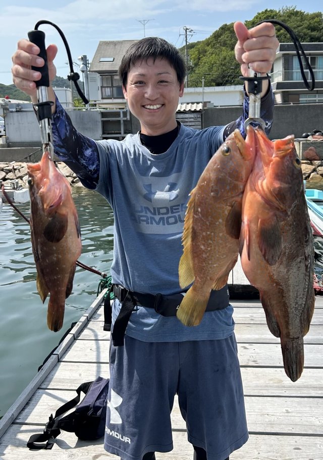 アコウ(キジハタ)