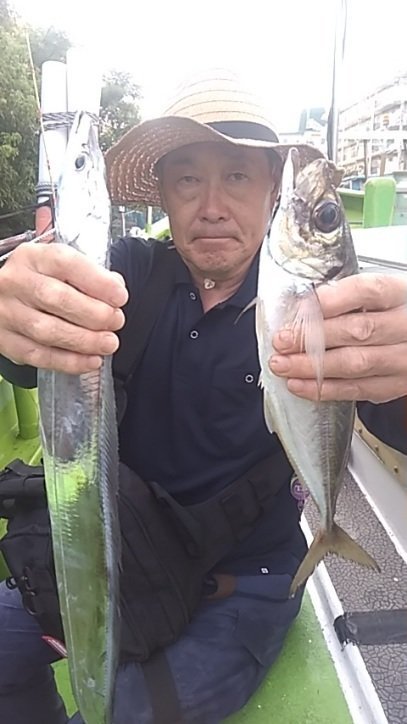 アジ(マアジ)・タチウオ