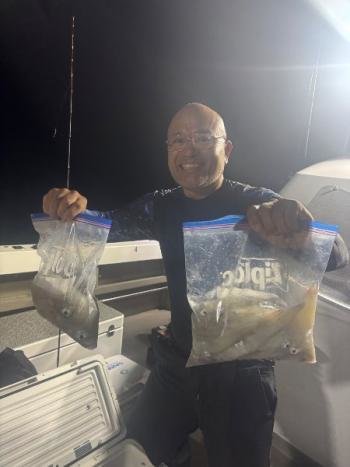 マイカ(ケンサキイカ)