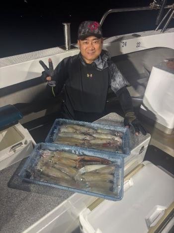 マイカ(ケンサキイカ)