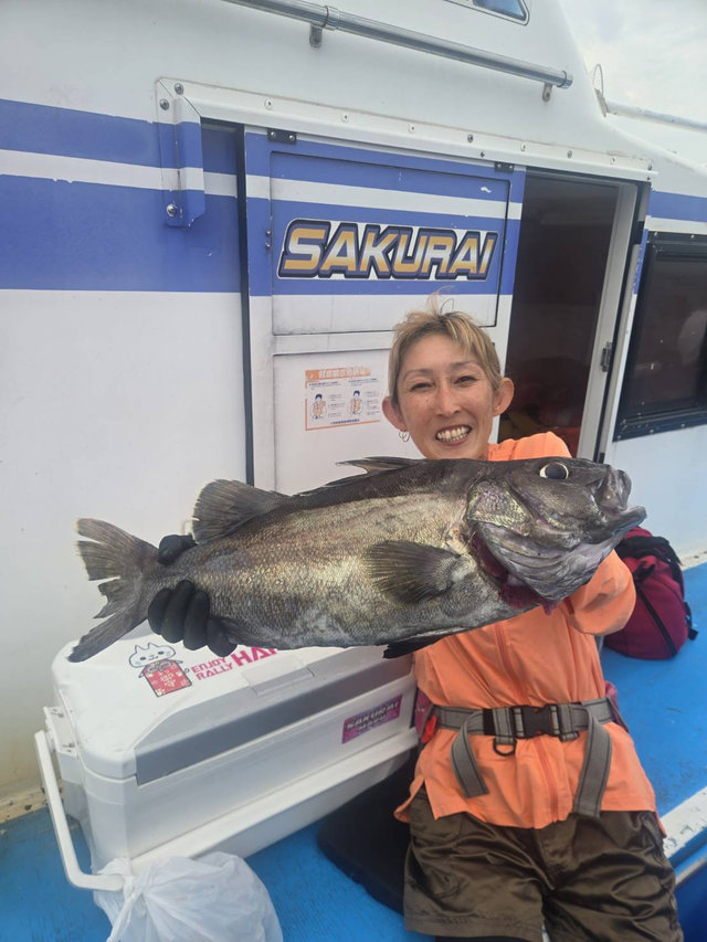 ソイ(クロソイ)