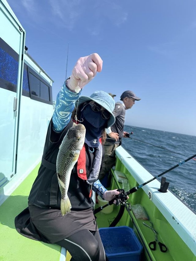 フグ(ショウサイフグ)