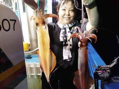 マイカ(ケンサキイカ)