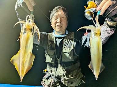 マイカ(ケンサキイカ)