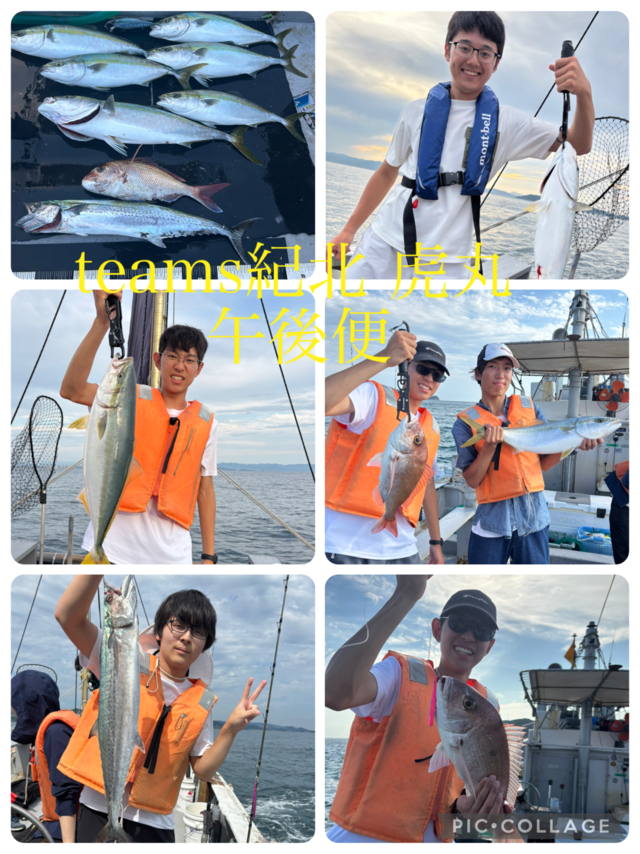 タイ(マダイ)・メジロ(ブリ)・サワラ