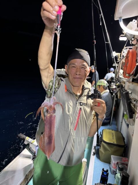 マイカ(ケンサキイカ)