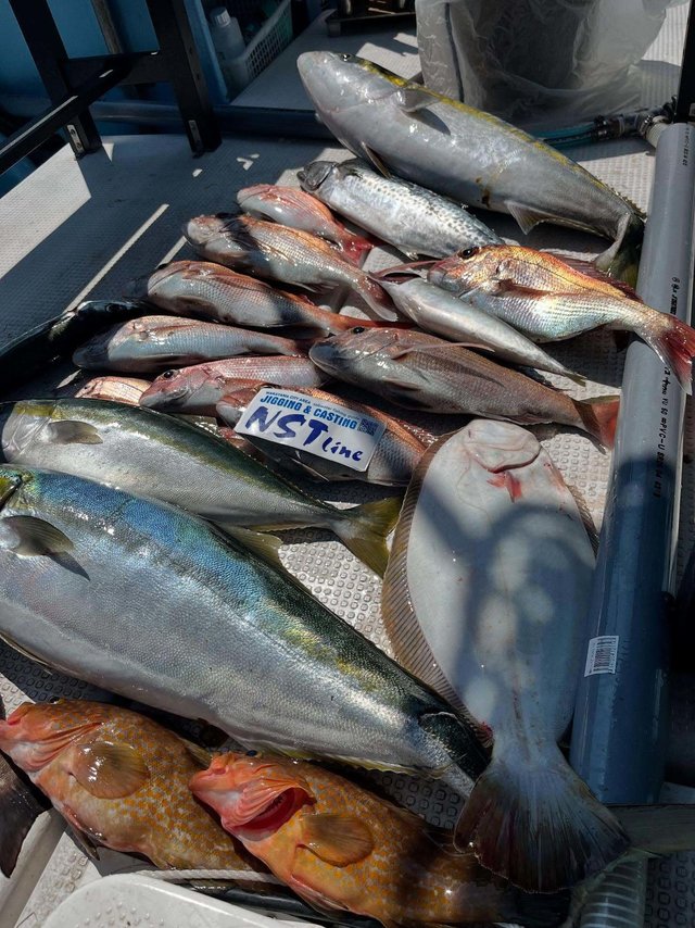 マダイ・キジハタ・ブリ・ハマチ(ブリ)・イサキ・サゴシ(サワラ)・ヒラメ