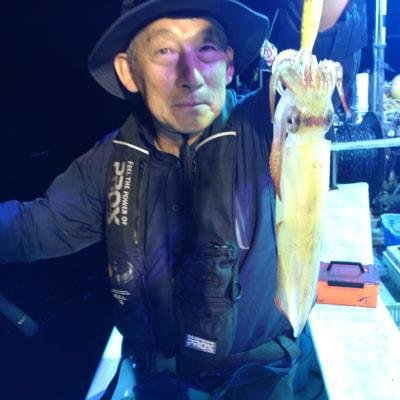 マイカ(ケンサキイカ)