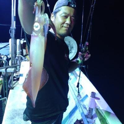 マイカ(ケンサキイカ)