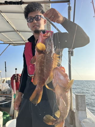 アコウ(キジハタ)