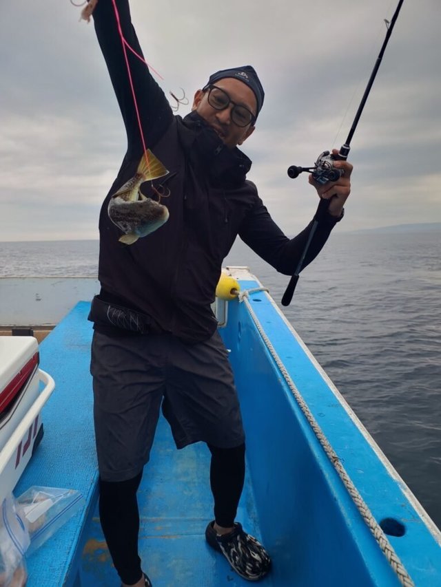 ショウサイフク(ショウサイフグ)