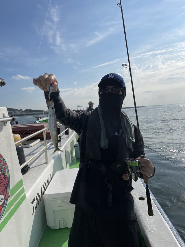 カマス(アカカマス)