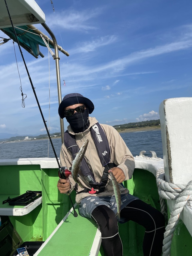 カマス(アカカマス)