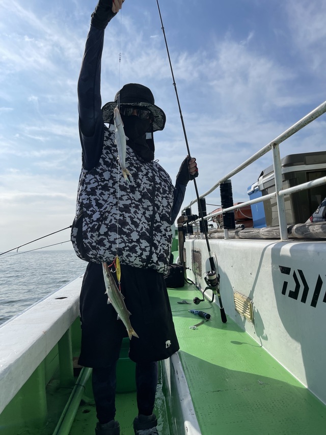 カマス(アカカマス)