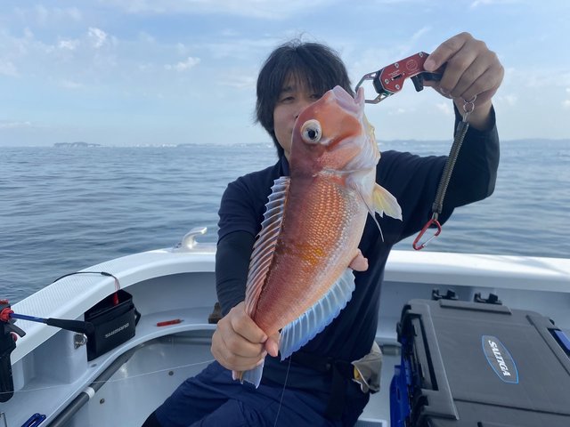 アマダイ(アカアマダイ)