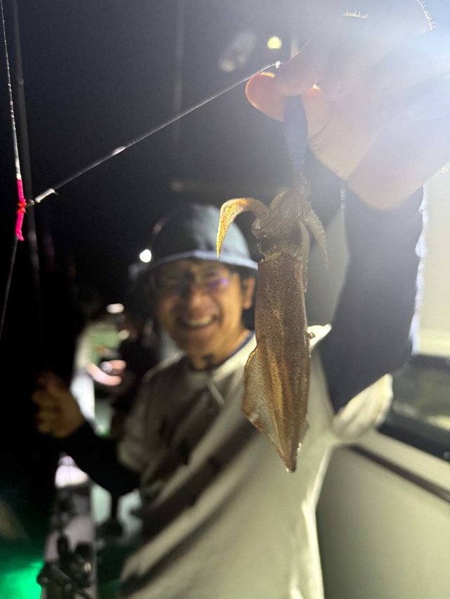 イカ(ケンサキイカ)