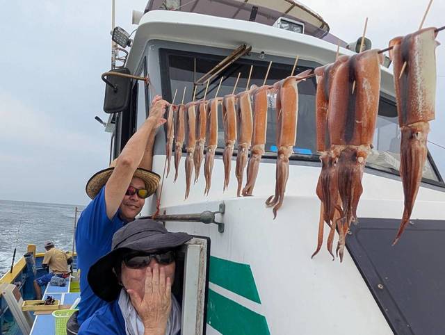 スルメ(スルメイカ)