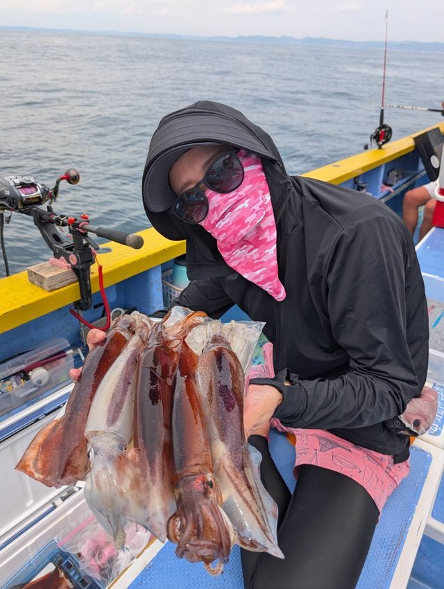 スルメ(スルメイカ)