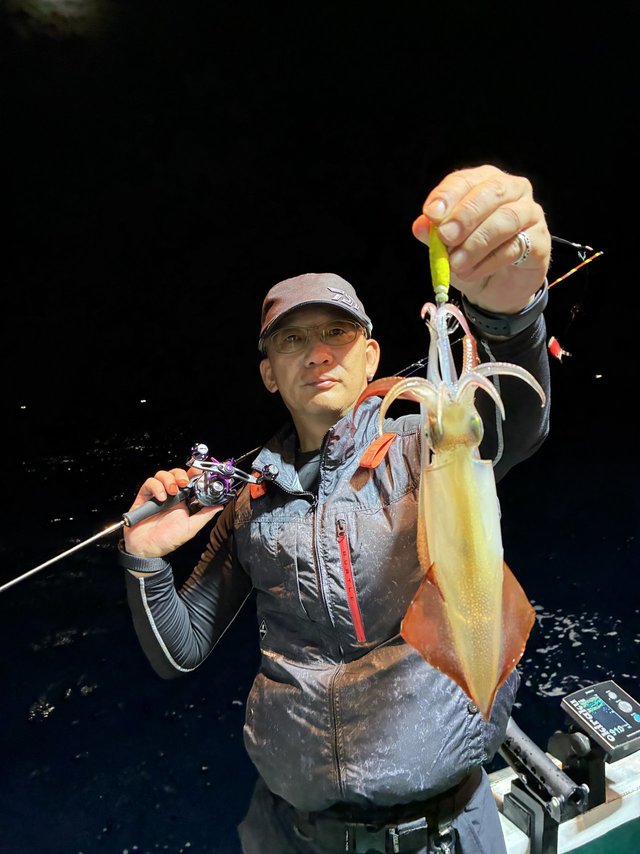 アカイカ(ケンサキイカ)