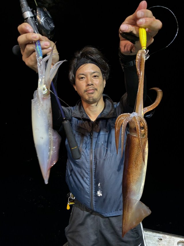 アカイカ(ケンサキイカ)・スルメイカ