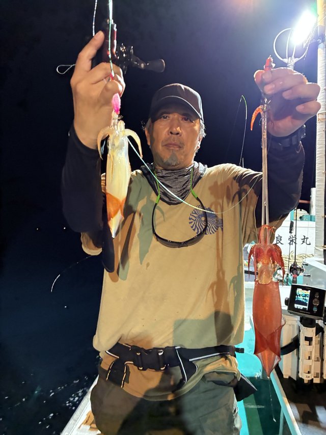 アカイカ(ケンサキイカ)