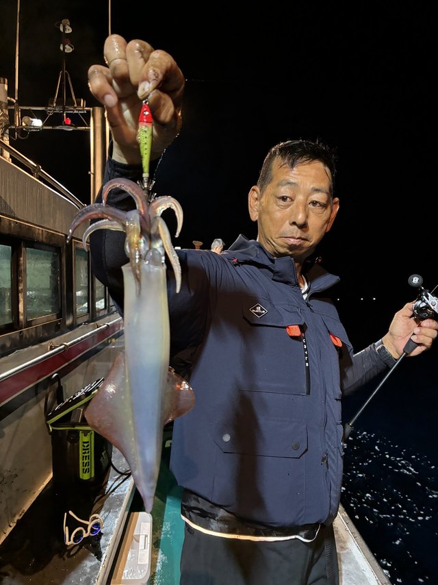 アカイカ(ケンサキイカ)