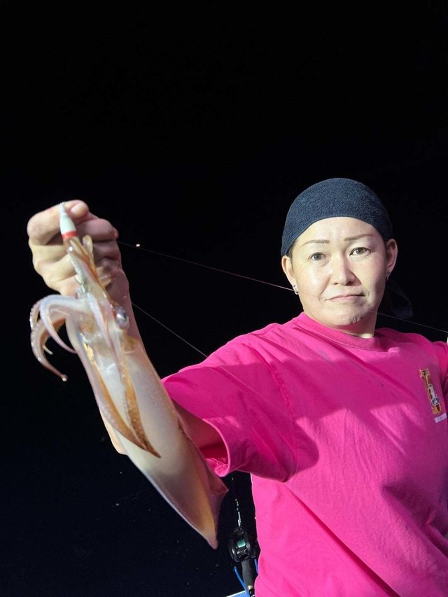 マルイカ(ケンサキイカ)