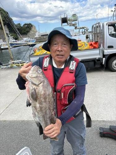 イシナギ(オオクチイシナギ)