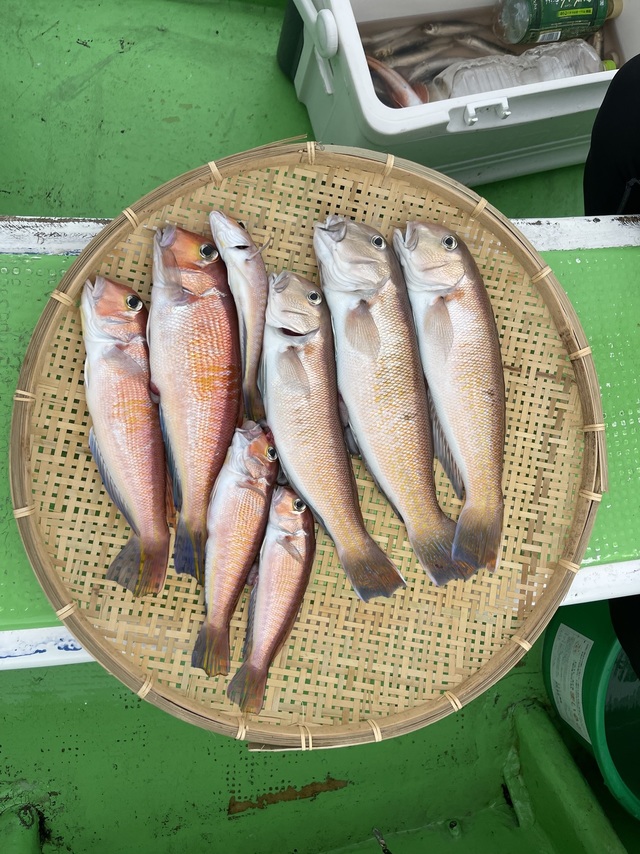 アマダイ(アカアマダイ)・シロアマダイ