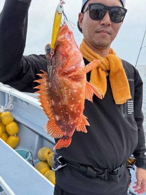 カンコ(ウッカリカサゴ)