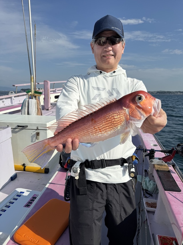 アマダイ(アカアマダイ)