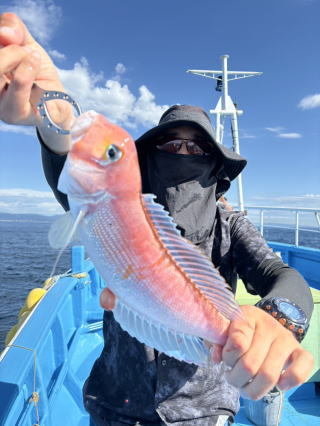 アマダイ(アカアマダイ)