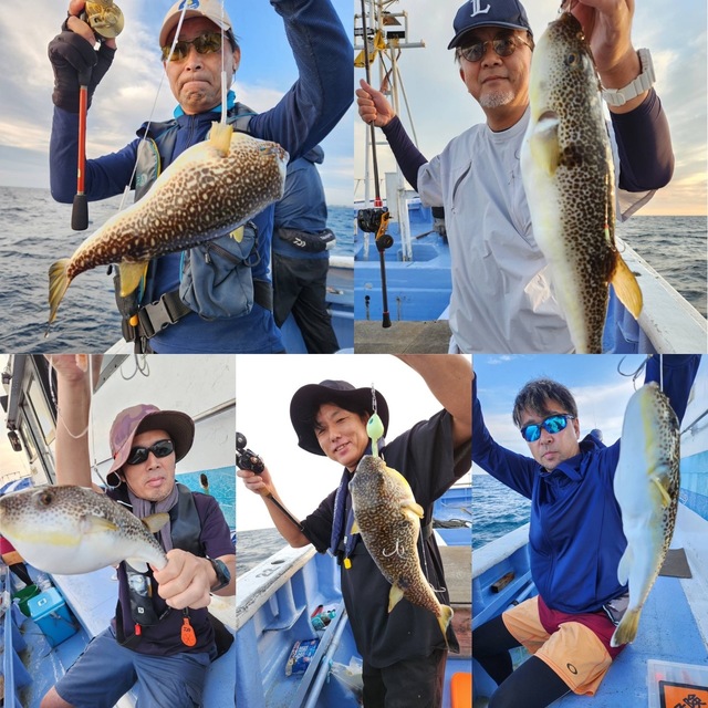 ショウサイフグ