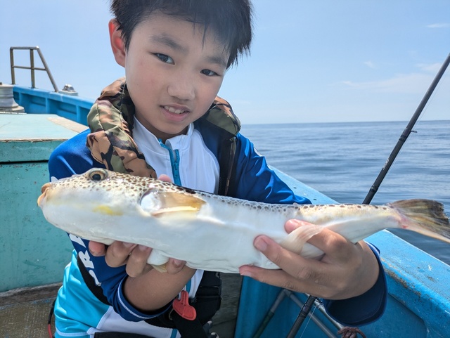 フグ(ショウサイフグ)