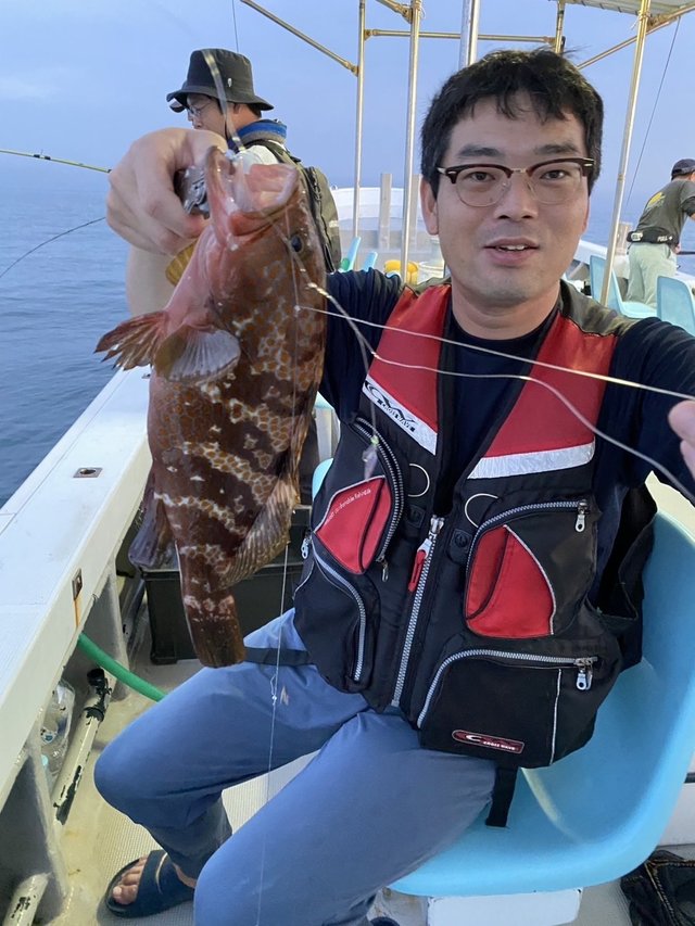 アコウ(キジハタ)