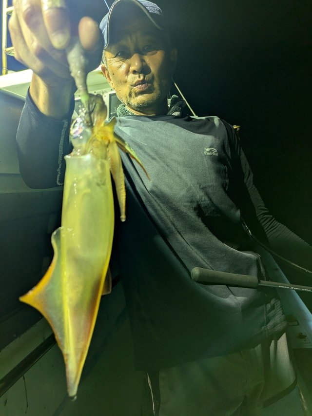 イカ(ケンサキイカ)