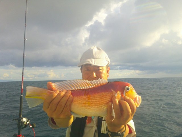 アマダイ(アカアマダイ)