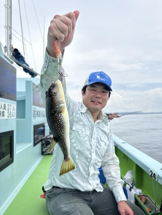 フグ(ショウサイフグ)