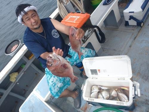 マダイ・カイワリ