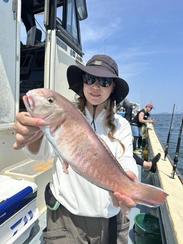 アマダイ(アカアマダイ)