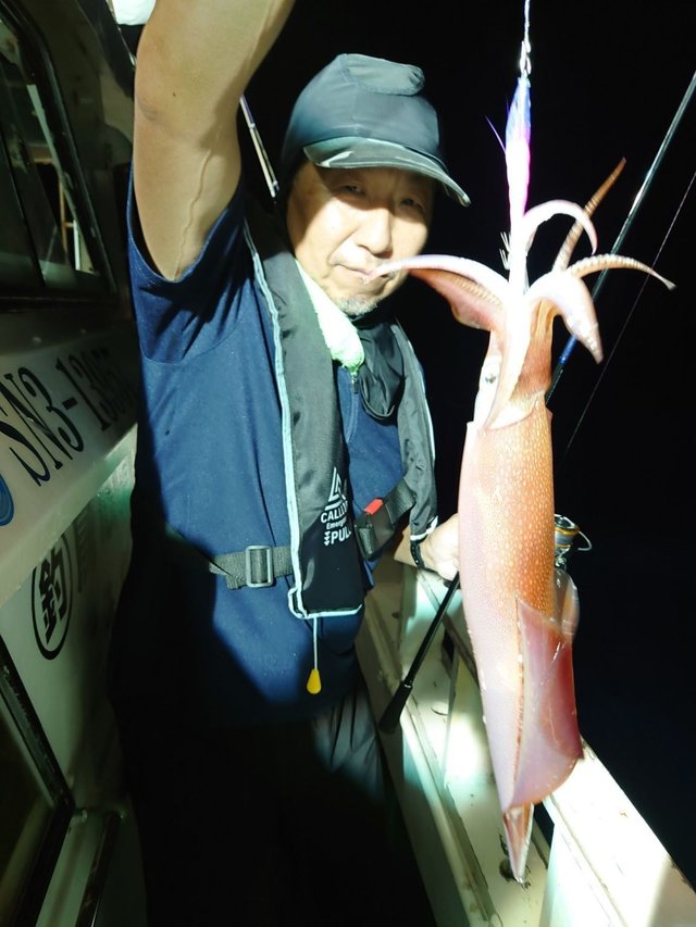 シロイカ(ケンサキイカ)