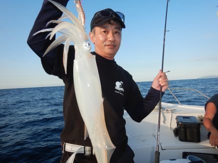 シロイカ(ケンサキイカ)