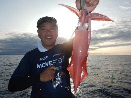 シロイカ(ケンサキイカ)