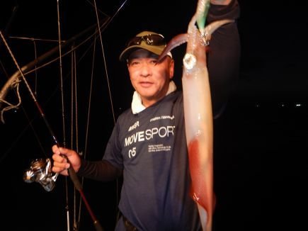 シロイカ(ケンサキイカ)